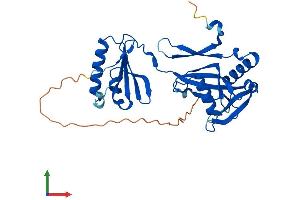 AlphaFold protein structure predicition of Mouse Recombinant Nudt6 Protein, UniprotID Q8CH40 (NUDT6 Protein (AA 1-313) (His tag))