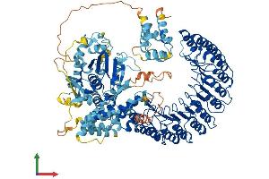 AlphaFold protein structure predicition of Mouse Recombinant Nlrp12 Protein, UniprotID E9Q5R7 (NLRP12 Protein (AA 1-1054) (His tag))