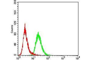 Flow Cytometry (FACS) image for anti-Lysine (K)-Specific Demethylase 2B (KDM2B) (AA 457-555) antibody (ABIN5542614)