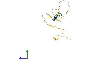 AlphaFold protein structure predicition of Mouse Recombinant Sit1 Protein, UniprotID Q8C503