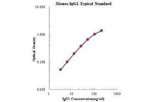 ELISA image for IgG1 ELISA Kit (ABIN3198440)