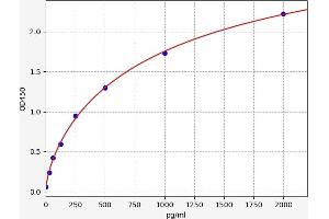 Typical standard curve
