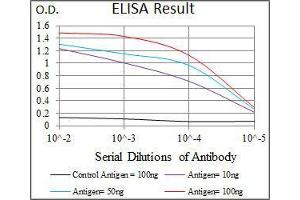 Black line: Control Antigen (100 ng), Purple line: Antigen(10 ng), Blue line: Antigen (50 ng), Red line: Antigen (100 ng), (SPIB antibody  (AA 200-252))