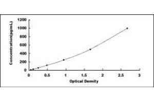 Typical standard curve (Glutathione Peroxidase 1 ELISA Kit)