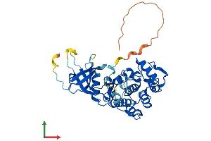 AlphaFold protein structure predicition of Human Recombinant CDK9 Protein, UniprotID P50750 (CDK9 Protein (AA 1-372) (His tag))