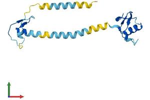 AlphaFold protein structure predicition of Mouse Recombinant Spink10 Protein, UniprotID Q8CAC8 (Spink10 Protein (AA 1-162) (His tag))