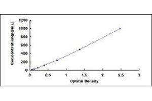 Typical standard curve (TK1 ELISA Kit)