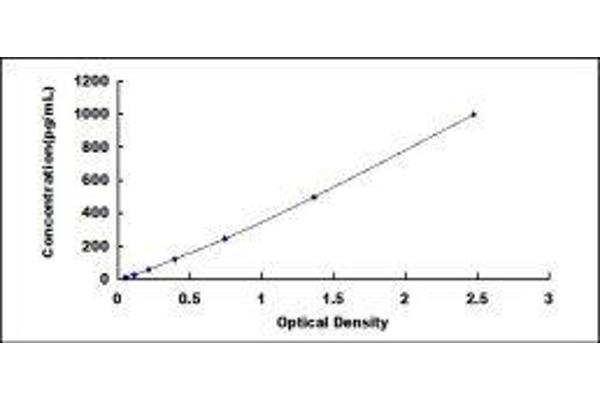 TK1 ELISA Kit