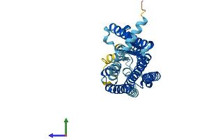 AlphaFold protein structure predicition of Human Recombinant OR10C1 Protein, UniprotID Q96KK4 (OR10C1 Protein (AA 1-312) (His tag))