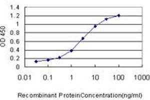 Detection limit for recombinant GST tagged CAMKV is approximately 0. (CAMKV antibody  (AA 1-501))