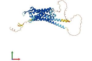 AlphaFold protein structure predicition of Human Recombinant CCKAR Protein, UniprotID P32238 (CCKAR Protein (AA 1-428) (His tag))