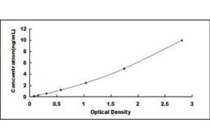 Typical standard curve (ECH1 ELISA Kit)
