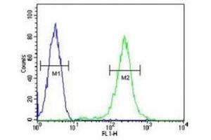 CFP antibody flow cytometric analysis of CEM cells (green) compared to a negative control (blue). (CFP antibody  (AA 197-223))