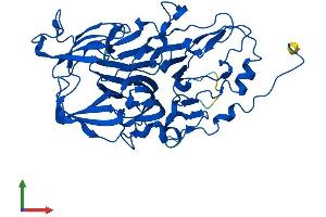 Protein Structure (PS) image for Homogentisate 1,2-Dioxygenase (HGD) (AA 1-445) protein (His tag) (ABIN7548254)