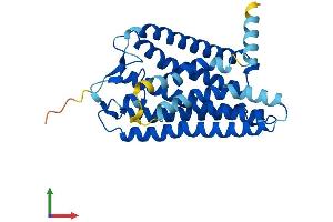 AlphaFold protein structure predicition of Human Recombinant OR8B8 Protein, UniprotID Q15620 (OR8B8 Protein (AA 1-311) (His tag))