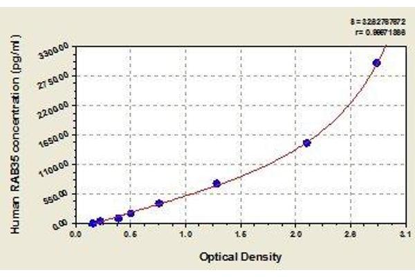 RAB35 ELISA Kit