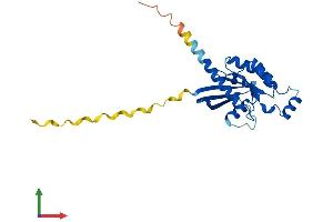 AlphaFold protein structure predicition of Human Recombinant RHOV Protein, UniprotID Q96L33