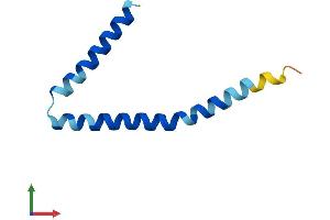 AlphaFold protein structure predicition of Mouse Recombinant Sptssb Protein, UniprotID Q925E8