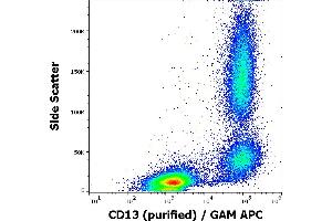 Flow cytometry surface staining pattern of human peripheral whole blood stained using anti-human CD13 (WM15) purified antibody (concentration in sample 1 μg/mL, GAM APC).