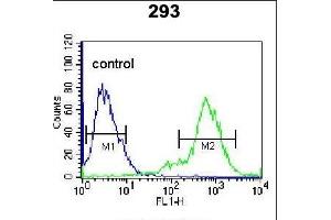 TIEG Antibody (Center) (ABIN655153 and ABIN2844772) flow cytometric analysis of 293 cells (right histogram) compared to a negative control cell (left histogram). (KLF10/TIEG1 antibody  (AA 198-225))