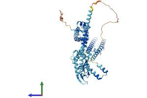 AlphaFold protein structure predicition of Human Recombinant CNGA4 Protein, UniprotID Q8IV77