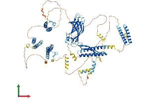 AlphaFold protein structure predicition of Mouse Recombinant Cc2d1b Protein, UniprotID Q8BRN9