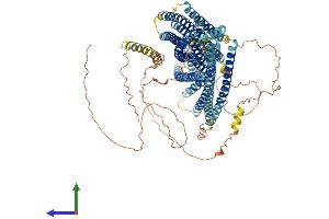 AlphaFold protein structure predicition of Mouse Recombinant Evc Protein, UniprotID P57680 (EVC Protein (AA 1-1005) (His tag))