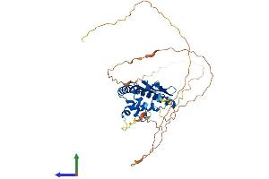 AlphaFold protein structure predicition of Mouse Recombinant Tspyl1 Protein, UniprotID O88852 (TSPYL1 Protein (AA 1-379) (His tag))