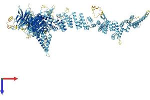 AlphaFold protein structure predicition of Mouse Recombinant Nup160 Protein, UniprotID Q9Z0W3 (NUP160 Protein (AA 1-1402) (His tag))