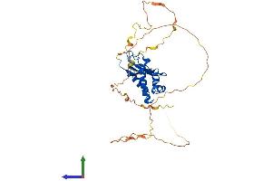 AlphaFold protein structure predicition of Mouse Recombinant Tob2 Protein, UniprotID Q9JM55