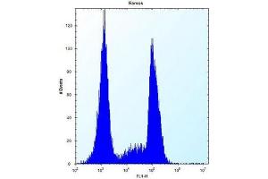 Flow cytometric analysis of Ramos cells using OR10G9 Antibody (C-term) Cat. (OR10G9 antibody  (C-Term))