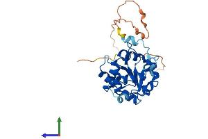 AlphaFold protein structure predicition of Human Recombinant CMSS1 Protein, UniprotID Q9BQ75