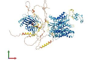 AlphaFold protein structure predicition of Human Recombinant SLC4A10 Protein, UniprotID Q6U841 (SLC4A10 Protein (AA 1-1118) (His tag))