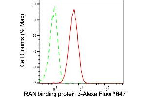 Flow cytometric analysis of RAN binding protein 3 expression in C2C12 cells using RAN binding protein 3 antibody (ABIN7800127), 1:2,000). (Recombinant RanBP3 antibody)
