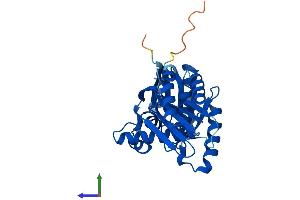 AlphaFold protein structure predicition of Mouse Recombinant Rraga Protein, UniprotID Q80X95 (RRAGA Protein (AA 1-313) (His tag))