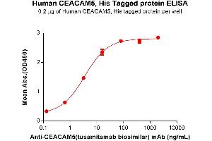 ELISA plate pre-coated by 2 μg/mL (100 μL/well) Human CEA Protein, His Tag (ABIN6961129, ABIN7042287 and ABIN7042288) can bind Anti-CEA(tusamitamab biosimilar) mAb ((ABIN7538760)) in a linear range of 0.