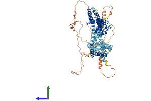 AlphaFold protein structure predicition of Mouse Recombinant Kcnc4 Protein, UniprotID Q8R1C0