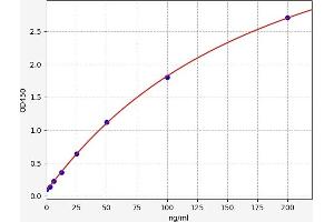 Typical standard curve (C-Type Lectin Domain Family 4, Member M (CLEC4M) ELISA Kit)