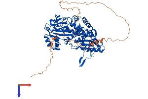 C14orf169 + NO66 Protein (AA 1-603) (His tag)