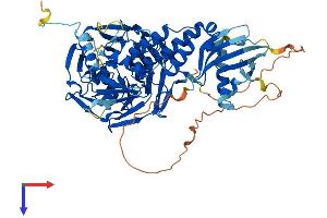 Protein Structure (PS) image for Influenza Virus NS1A Binding Protein (IVNS1ABP) (AA 1-642) protein (His tag) (ABIN7554780)