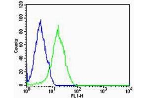 Flow cytometric analysis of HepG2 cells using Phospho-HUN-SHB. (SHB antibody  (AA 250-290))