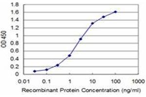 Detection limit for recombinant GST tagged BOLL is approximately 0. (BOLL antibody  (AA 185-283))