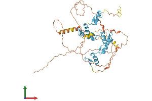 AlphaFold protein structure predicition of Mouse Recombinant Fezf2 Protein, UniprotID Q9ESP5