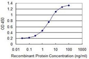 Detection limit for recombinant GST tagged TRIM17 is 0. (TRIM17 / RNF16 antibody  (AA 75-184))