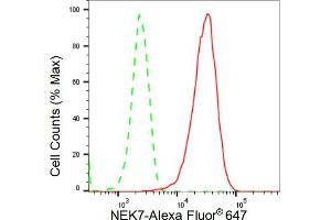 Flow cytometric analysis of NEK7 expression in HepG2 cells using NEK7 antibody (ABIN7799570), 1:2,000). (Recombinant NEK7 antibody)