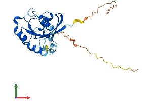 AlphaFold protein structure predicition of Mouse Recombinant Rab33b Protein, UniprotID O35963 (RAB33B Protein (AA 1-229) (His tag))