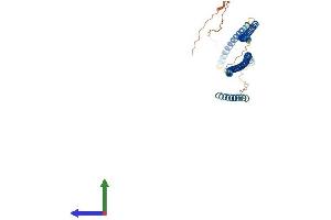 AlphaFold protein structure predicition of Mouse Recombinant Krt25 Protein, UniprotID Q8VCW2