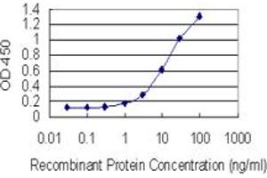 Detection limit for recombinant GST tagged ZSCAN22 is 0. (ZSCAN22 antibody  (AA 196-294))