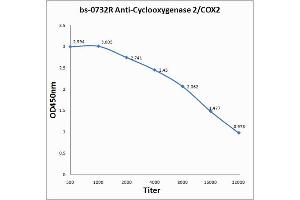Antigen: 0. (PTGS2 antibody  (AA 501-604))