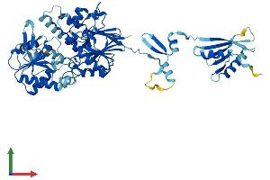AlphaFold protein structure predicition of Human Recombinant INTS11 Protein, UniprotID Q5TA45